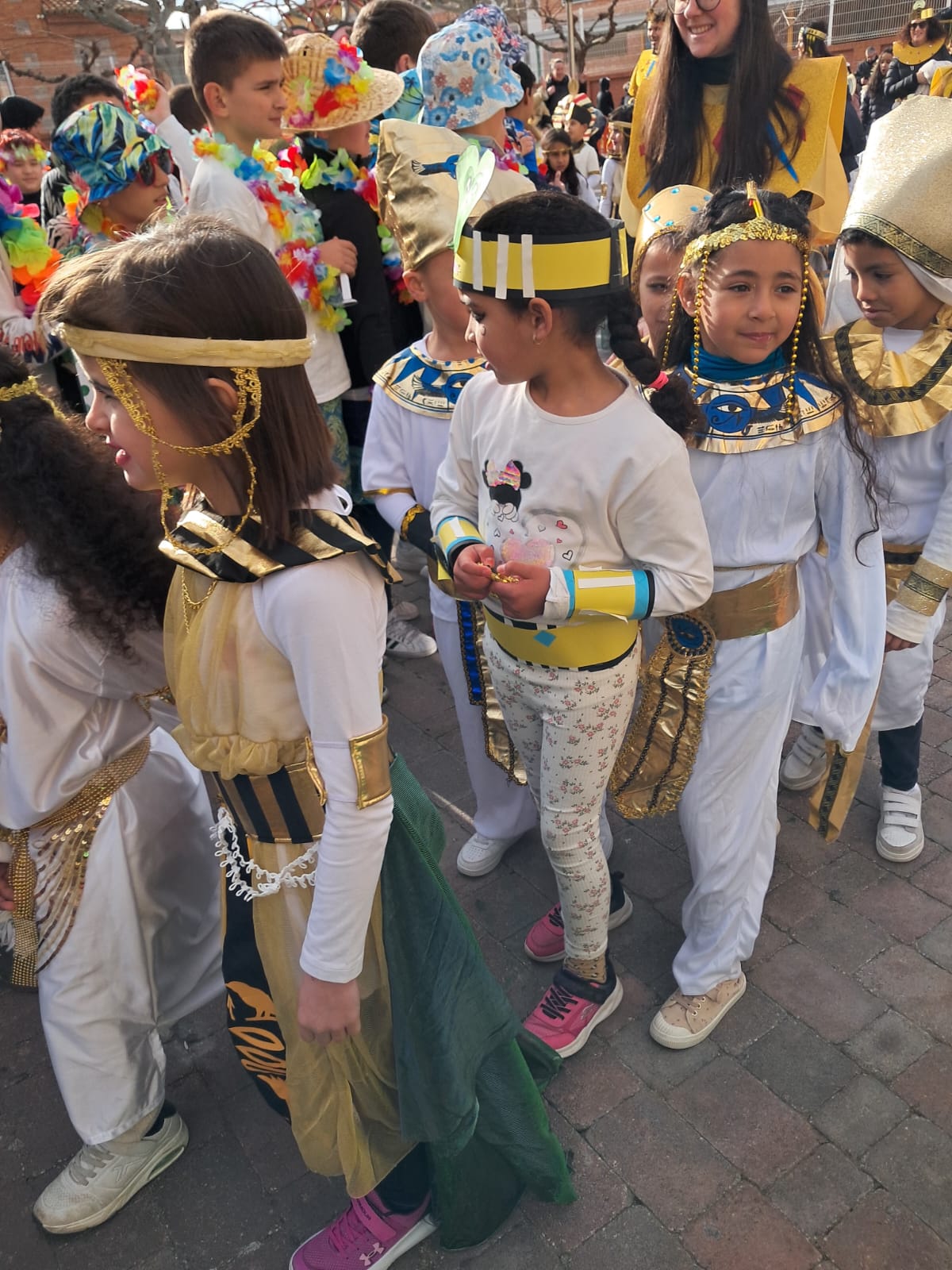 641578775_1530980339027425_9098505798665392455_n - copia